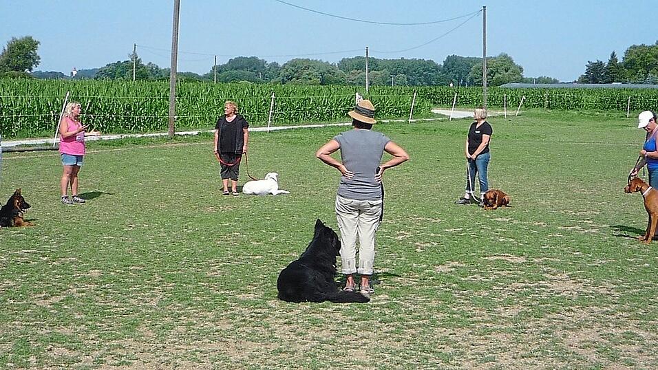 Die meisten Reibereien zwischen Hund und Mensch r&uuml;hren von Missverst&auml;ndnissen und Kommunikationsfehlern.