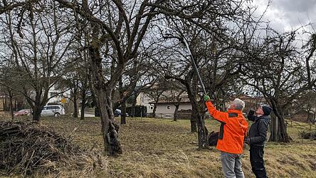 Wenn es um die Obstbaumpflege geht, ist Baumwart Manfred Kellner (links) der richtige Mann, hier mit BN-Mitglied Paul Selmansberger.