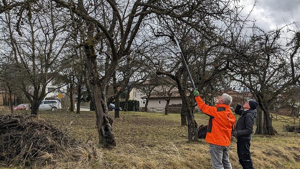 Wenn es um die Obstbaumpflege geht, ist Baumwart Manfred Kellner (links) der richtige Mann, hier mit BN-Mitglied Paul Selmansberger.