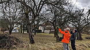Wenn es um die Obstbaumpflege geht, ist Baumwart Manfred Kellner (links) der richtige Mann, hier mit BN-Mitglied Paul Selmansberger.