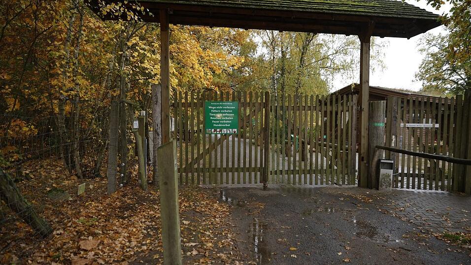 Die Polizei untersucht, wie es zu dem Angriff eines Wolf im Wildpark Johannism&uuml;hle kommen konnte.