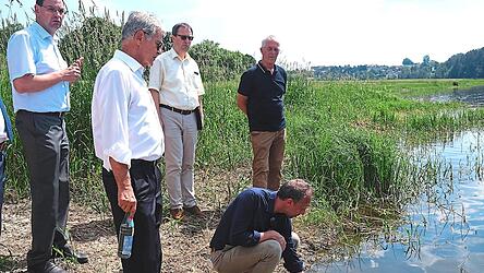 Das Wasser des Eixendorfer Stausees ist zwar angenehm, lädt aber nicht zum Baden ein. Bayerns Umweltminister Thorsten Glauber 'planscht' im Wasser, beobachtet von MdL Joachim Hanisch, WWA-Behördenleiter Mathias Rosenmüller, Regierungsvizepräsident Florian Luderschmid und Landwirt Walter Drexler (von links).