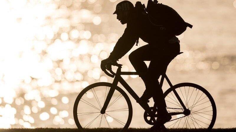 Der 56-jährige Radfahrer hat sich beim Zusammenstoß mit einem Bulldog-Anhänger offenbar schwerere Verletzungen zugezogen. (Symbolbild) Der 56-jährige Radfahrer hat sich beim Zusammenstoß mit einem Bulldog-Anhänger offenbar schwerere Verletzungen zugezogen. (Symbolbild)