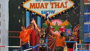 Orang-Utans boxen in einem Freizeitpark nahe Bangkok. Orang-Utans boxen in einem Freizeitpark nahe Bangkok.