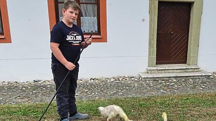 Zacharias und seine fünf Ganserl.