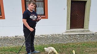 Zacharias und seine fünf Ganserl.