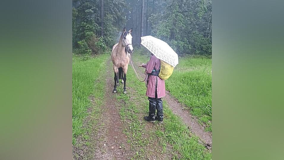 Überredungskunst ist gefragt: Joy hat keine Lust mehr - bei dem Wetter!