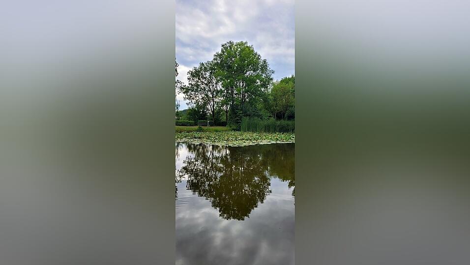 Das Motiv für April von Maria Teresa Bolinches Tarraga.