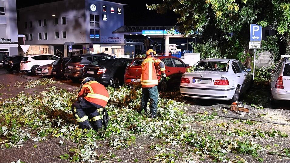 In der Freyung beschädigte ein großer Ast zwei Fahrzeuge. In der Freyung beschädigte ein großer Ast zwei Fahrzeuge.