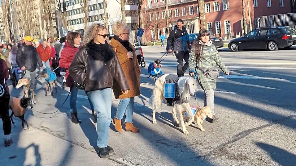 Mit zwei ihrer insgesamt sieben Hunde nahm Sabrina Regensperger an der Demo teil. Besonders der russische Windhund erregte Aufmerksamkeit. Mit zwei ihrer insgesamt sieben Hunde nahm Sabrina Regensperger an der Demo teil. Besonders der russische Windhund erregte Aufmerksamkeit.