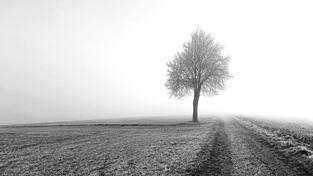 Platz 3: Christa Rabl-Dachs Platz 3: Christa Rabl-Dachs