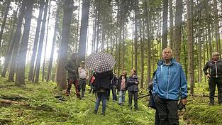 Revier- und Betriebsleiter Bernhard Thalhammer (links) f&uuml;hrte die Stadtratsmitglieder durch den Beutelhauser Forst.