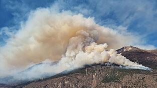 Der Brand war am Donnerstag oberhalb von Latsch im Vinschgau ausgebrochen. Der Brand war am Donnerstag oberhalb von Latsch im Vinschgau ausgebrochen.