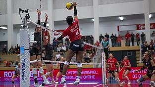 Keine Gnade: Die Roten Raben Vilsbiburg lie&szlig;en den Gastgeberinnen aus Leverkusen nicht den Hauch einer Chance. Jeannette Huskic (am Ball) ragte aus der tollen Teamleistung heraus und wurde zum MVP gew&auml;hlt.