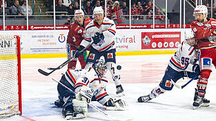 Vier umk&auml;mpfte Duelle lieferten sich die Eisb&auml;ren Regensburg (in roten Trikots die St&uuml;rmer Marvin Schmid, links, und Tom&aacute;&scaron; Schwamberger, rechts) und Ligafavorit Kassel Huskies (links Torh&uuml;ter Branden Maxwell und die Verteidiger Joel Keussen und Markus Freis) bereits in der regul&auml;ren Saison. Nun stehen sich die beiden besten Mannschaften der DEL-2-Hauptrunde auch im Playoff-Finale gegen&uuml;ber.