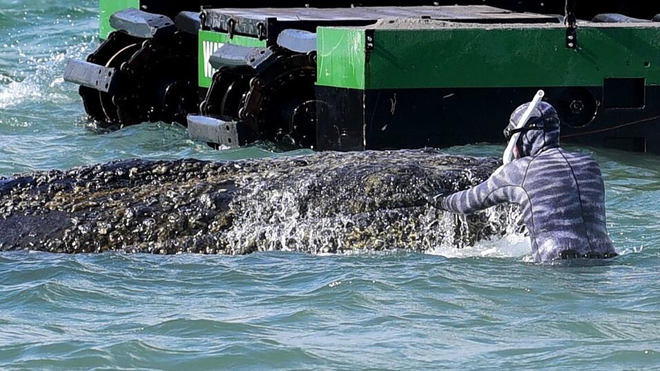 Lehmann dirigiert auch die Bagger, die als Teil der Rettungsversuche im Einsatz sind.