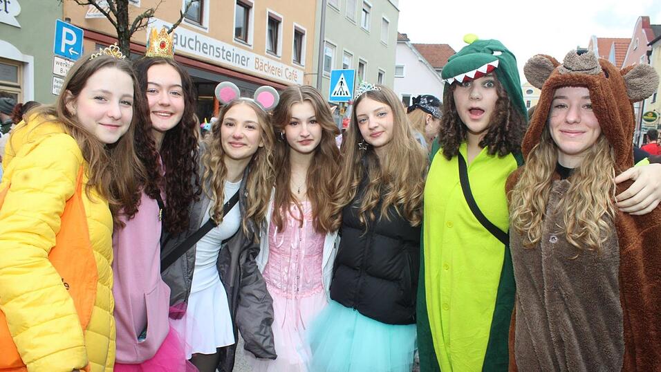 Beste Stimmung herrschte beim Rosenmontagszug in Geisenhausen.