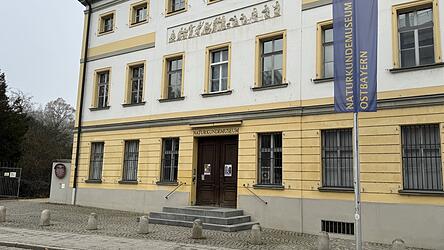 Seit Januar ist das Naturkundemuseum geschlossen.