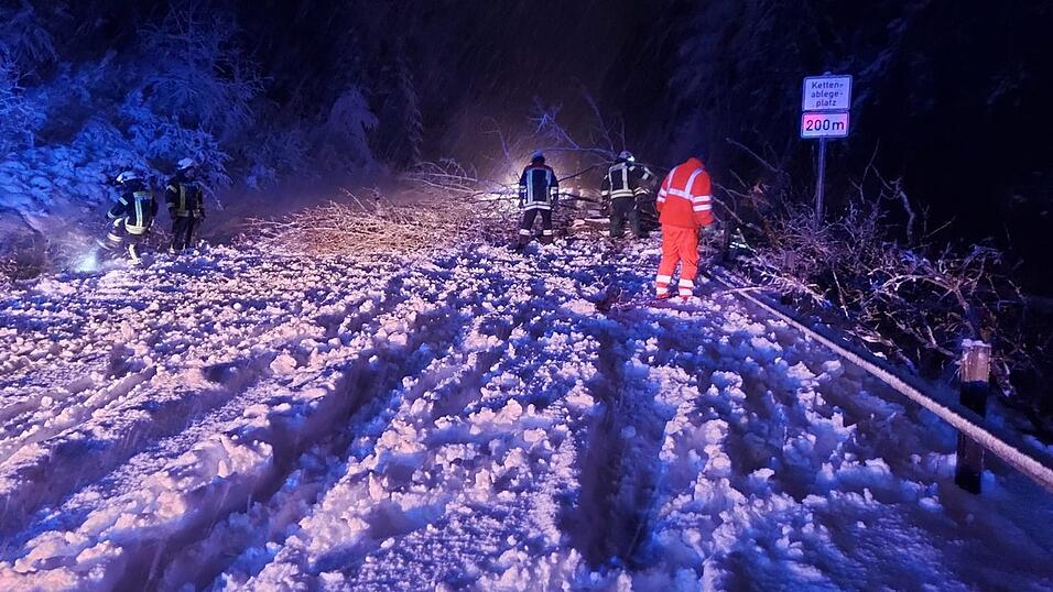 Bei Lammerbach im Landkreis Regen wurden auf der Straße liegende Bäume mehreren Autofahrern zum Verhängnis.