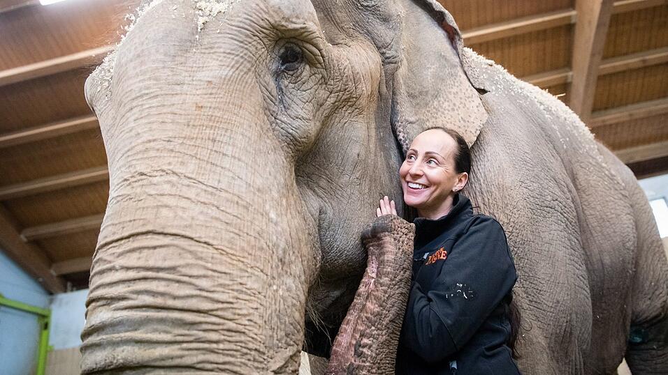 Jana-Mandana Lacey-Krone, Direktorin des Circus Krone, streichelt im Elefantenhaus auf dem Gel&auml;nde des Circus Krone die indische Elefantenkuh Bara. (Archivbild)