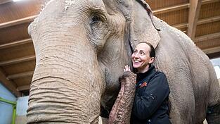 Jana-Mandana Lacey-Krone, Direktorin des Circus Krone, streichelt im Elefantenhaus auf dem Gel&auml;nde des Circus Krone die indische Elefantenkuh Bara. (Archivbild)
