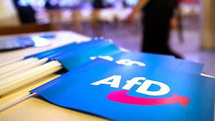 F&auml;hnchen mit dem Logo der AfD liegen beim Landesparteitag der AfD Bayern auf einem Tisch.