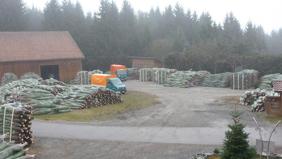 ...und vorübergehend gelagert. (Foto: privat) ...und vorübergehend gelagert. (Foto: privat)