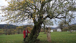 Die Streuobstwiese hinter ihrem Haus ist Maria Grubers ganzer Stolz. Ihr Gro&szlig;vater hatte sie um 1900 angelegt. Damit das alte Wissen und die Wertsch&auml;tzung f&uuml;r das Kulturgut Streuobstwiese nicht verloren gehen, engagiert sich die Lallingerin seit Jahren ehrenamtlich und jetzt auch als Vorsitzende des neu gegr&uuml;ndeten Vereins Niederbayerisches Streuobstwiesenkomptenzzentrum Lallinger Winkel e.V.