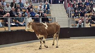 Rund 260 Tiere kamen unter den Hammer.