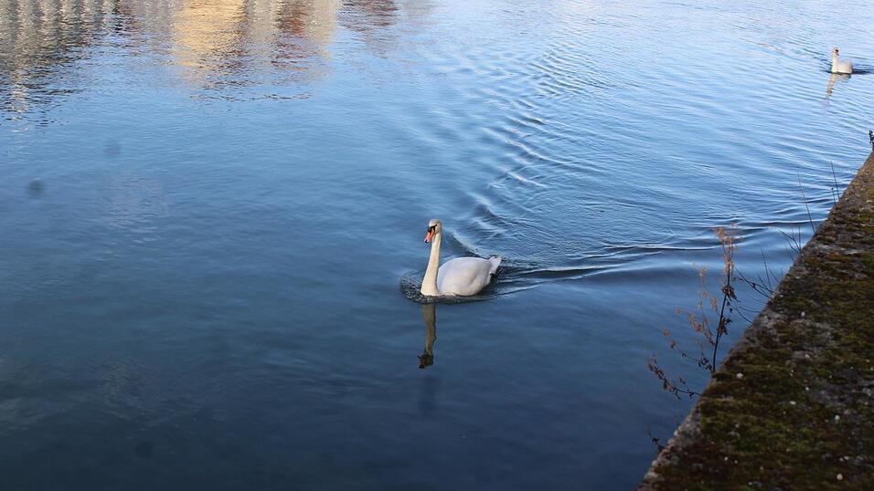 Bei Sonnenschein macht ein Stadtspaziergang gleich noch viel mehr Spaß. Bei Sonnenschein macht ein Stadtspaziergang gleich noch viel mehr Spaß.