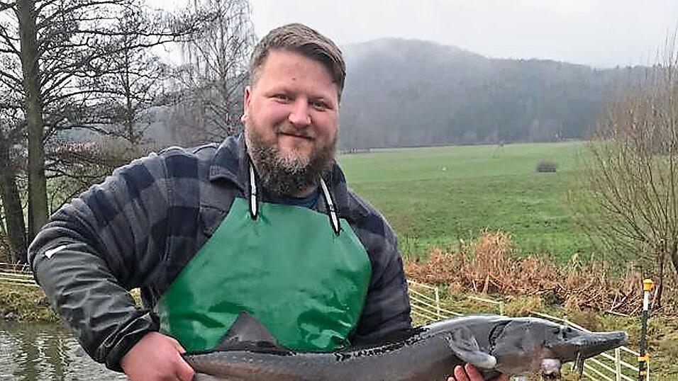Thomas Nürnberger präsentiert einen der Störe mittlerer Gewichtsklasse, die seit kurzer Zeit auch in den Naturweihern des Simandlhofs in Daberg leben. Thomas Nürnberger präsentiert einen der Störe mittlerer Gewichtsklasse, die seit kurzer Zeit auch in den Naturweihern des Simandlhofs in Daberg leben.