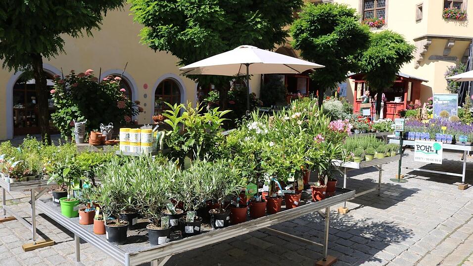 Alles, was das Profi- oder Hobbyg&auml;rtner Herz begehrt.