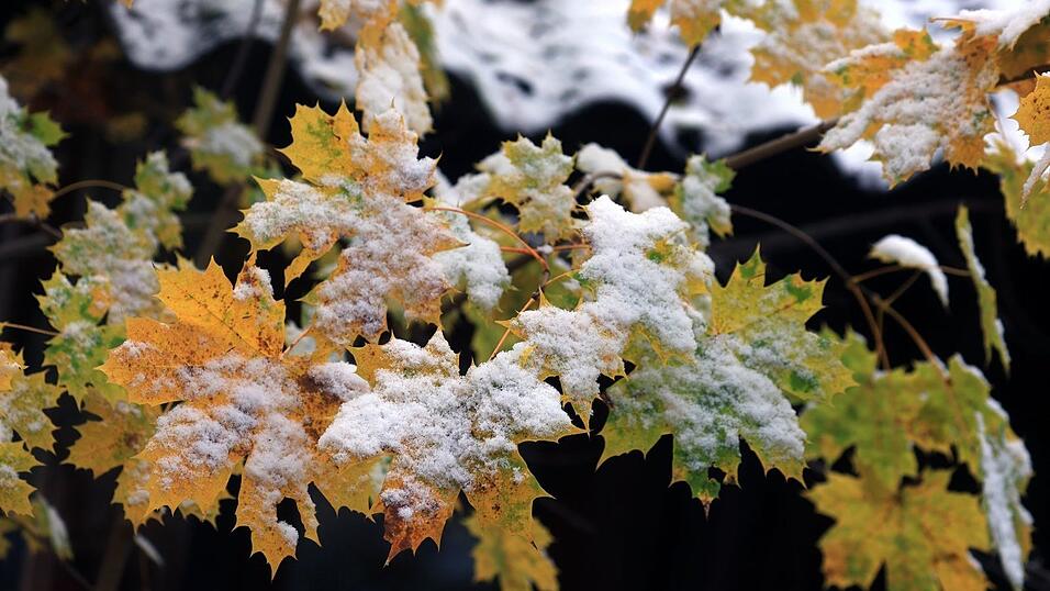 Bis zu einer Höhe von 400 Metern können einzelne Schneeflocken fallen. (Symbolbild) Bis zu einer Höhe von 400 Metern können einzelne Schneeflocken fallen. (Symbolbild)