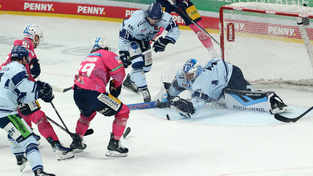 Florian Bugl ist gegen die Eisbären Berlin immer wieder gefordert, zeigt aber eine konstante gute Leistung - ebenso der Berliner Goalie Jonas Stettmer. Florian Bugl ist gegen die Eisbären Berlin immer wieder gefordert, zeigt aber eine konstante gute Leistung - ebenso der Berliner Goalie Jonas Stettmer.