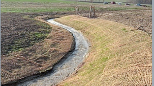 Die Renaturierung des Scheiblbachs zeigt sich begr&uuml;nt nun von seiner sch&ouml;nsten Seite.