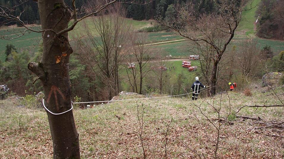 Der 45-jährige Fahrer eines Traktors kam bei Holzfällarbeiten ums Leben. Der 45-jährige Fahrer eines Traktors kam bei Holzfällarbeiten ums Leben.