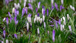 Tagsüber gibt es Regen und Sonne, nachts bleibt es im Freistaat frostig. (Symbolbild) Tagsüber gibt es Regen und Sonne, nachts bleibt es im Freistaat frostig. (Symbolbild)