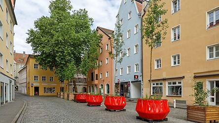 Die gro&szlig;e Platane am Ende der Oberm&uuml;nsterstra&szlig;e gilt als Identifikationspunkt im Quartier. Muss sie auch bald weichen, wie schon die roten K&uuml;bel davor?