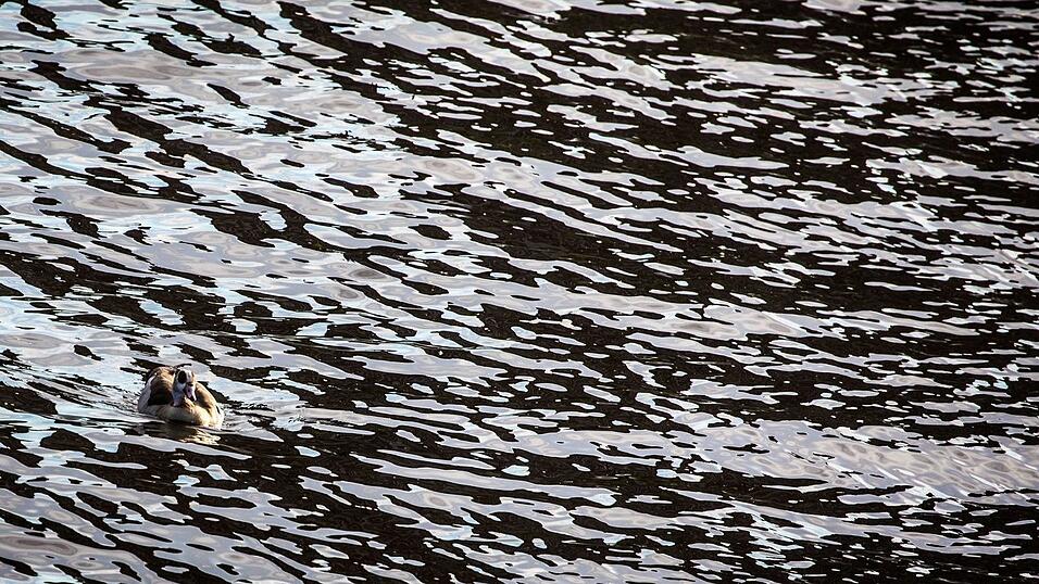 Auf dem Main in Unterfranken gab es eine Havarie, bei der Dieselkraftstoff ins Wasser gelaufen ist. (Symbolbild)