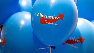 Aus Rheinland-Pfalz kam der Vorschlag, AfD-Mitgliedern den Zugang zum Staatsdienst zu versperren.