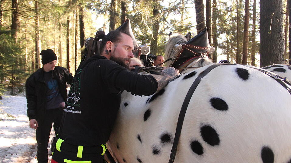 Oliver Fritsch untersucht die Pferde vor der Arbeit.