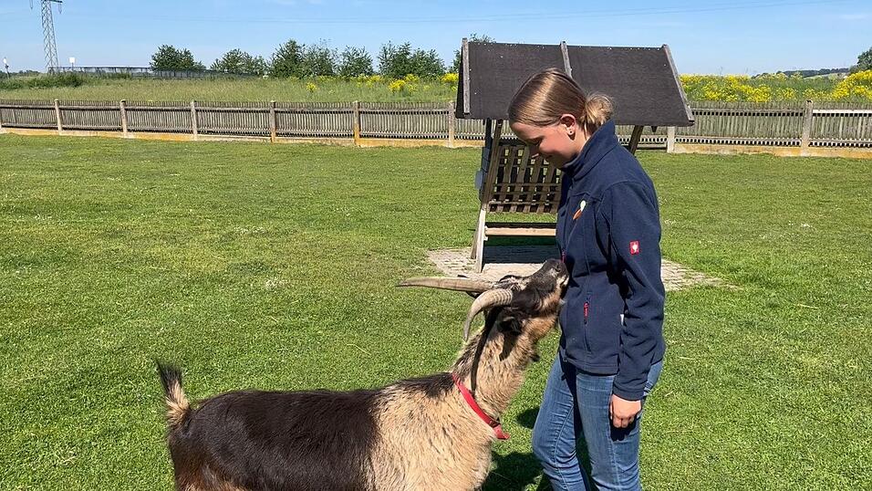 Ziege Klara demonstriert an der Jacke von Praktikantin Hanna ihren Spezialtrick: Sie kann Reißverschlüsse öffnen. Ziege Klara demonstriert an der Jacke von Praktikantin Hanna ihren Spezialtrick: Sie kann Reißverschlüsse öffnen.