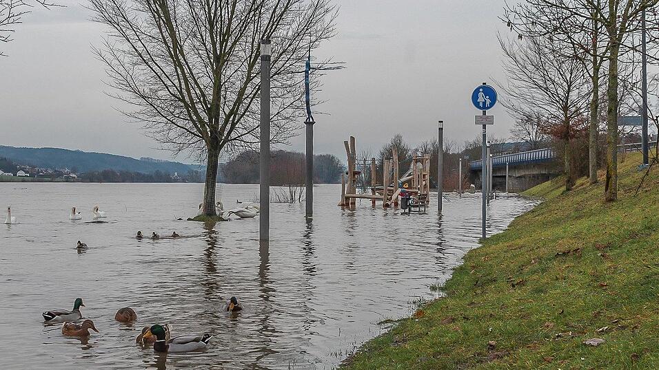 Auch in Vilshofen stieg die Donau &uuml;ber die Ufer.