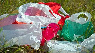 Plastiktüten wie diese sind inzwischen nicht mehr an Deutschlands Supermarkt-Kassen zu bekommen. (Archivbild)