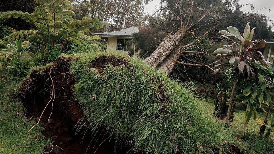 Hurrikan «Lala» hat auf Hawaiis größter Insel Big Island schwere Schäden hinterlassen. Hurrikan «Lala» hat auf Hawaiis größter Insel Big Island schwere Schäden hinterlassen.