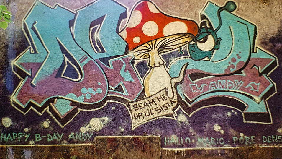 Eines der ersten legal an der Meyerm&uuml;hle gesprayten Graffiti: dieser Pilz, gewidmet einer gewissen &bdquo;Andy&ldquo;, wie Sprayer P. sagt.
