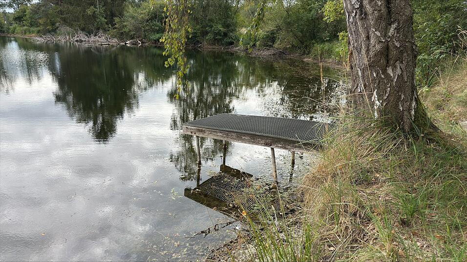 Der Steg im Vereinsweiher des Fischereivereins Mainburg bei Geisenfeld stand in diesem Jahr besonders hoch oberhalb der Wasseroberfläche. Für die Fische hatte das Folgen. Der Steg im Vereinsweiher des Fischereivereins Mainburg bei Geisenfeld stand in diesem Jahr besonders hoch oberhalb der Wasseroberfläche. Für die Fische hatte das Folgen.