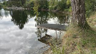 Der Steg im Vereinsweiher des Fischereivereins Mainburg bei Geisenfeld stand in diesem Jahr besonders hoch oberhalb der Wasseroberfläche. Für die Fische hatte das Folgen. Der Steg im Vereinsweiher des Fischereivereins Mainburg bei Geisenfeld stand in diesem Jahr besonders hoch oberhalb der Wasseroberfläche. Für die Fische hatte das Folgen.