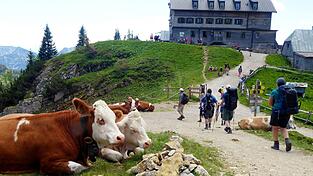 Das Rotwandhaus ist ein beliebtes Wanderziel. (Archivbild)
