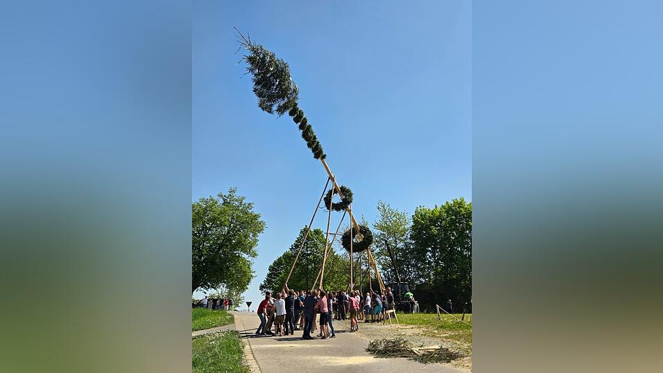 In Wippstetten wurde der Maibaum wieder traditionell mit Schwaiberl aufgestellt. In Wippstetten wurde der Maibaum wieder traditionell mit Schwaiberl aufgestellt.